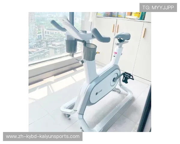 高效燃脂：探索上身健身器材的多样化选择与使用技巧